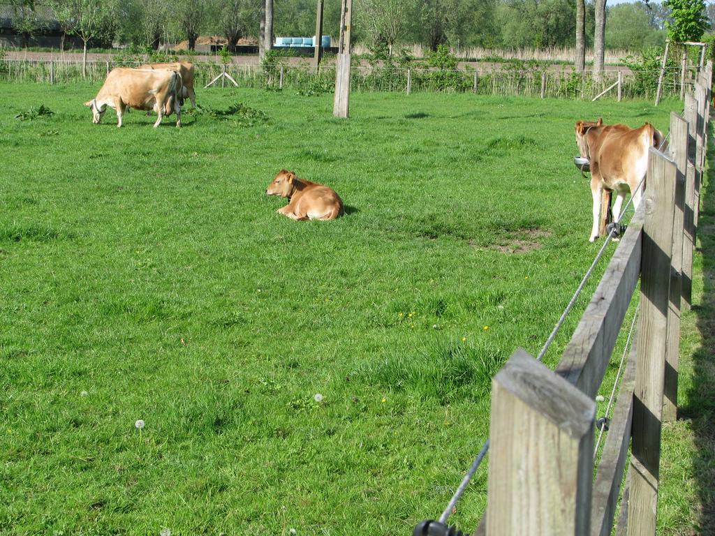 B&B Le Plat Pays Oostkamp-Brugge Oostkamp